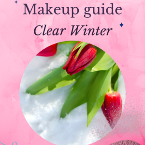 Makeup guide Clear Winter